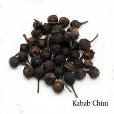 KABAB CHINI(50gm) View 2