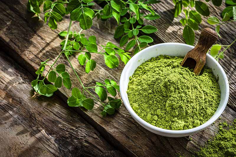 MORINGA  POWDER View 1